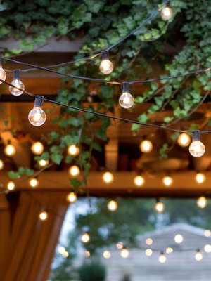 Ambience Pro Led Globe String Lights