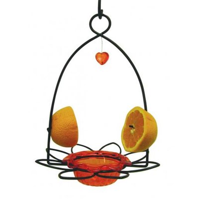 Oriole Flower Feeder