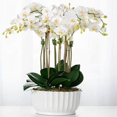 Faux Orchid Centerpiece - Silk Orchid Arrangement In White Vase