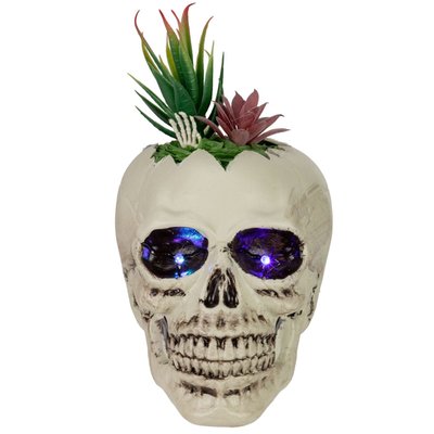 LED Lighted Succulent Halloween Skull Planter - 8.75"